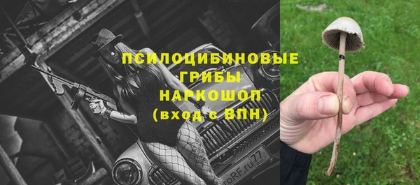 ГАЛЛЮЦИНОГЕННЫЕ ГРИБЫ Абинск