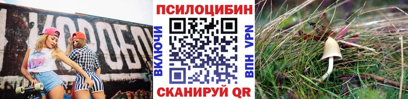 купить наркоту  Барыш  Псилоцибиновые грибы Magic Shrooms 